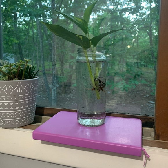 Meet your Posher, Zaria - Picture 4 of 4